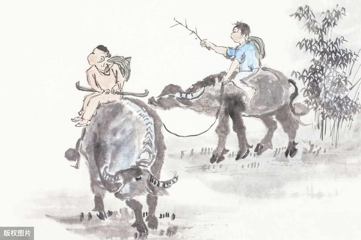 关于乡村的诗句有哪些（乡村诗句大全唯美）