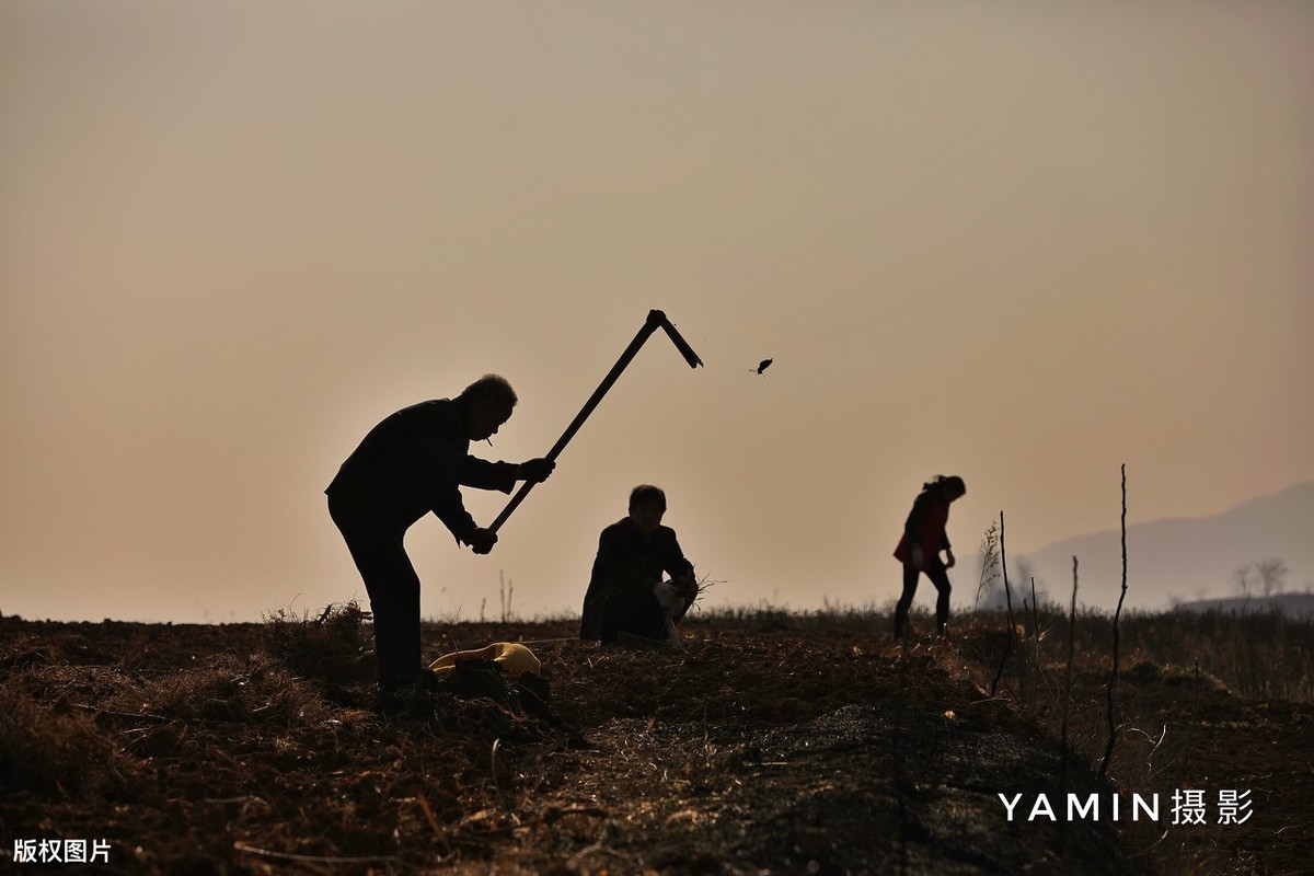 关于乡村的诗句有哪些（乡村诗句大全唯美）