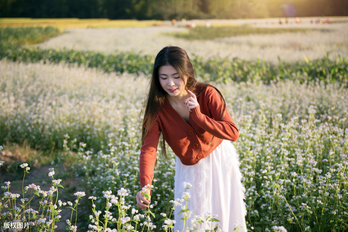 关于乡村的诗句有哪些（乡村诗句大全唯美）