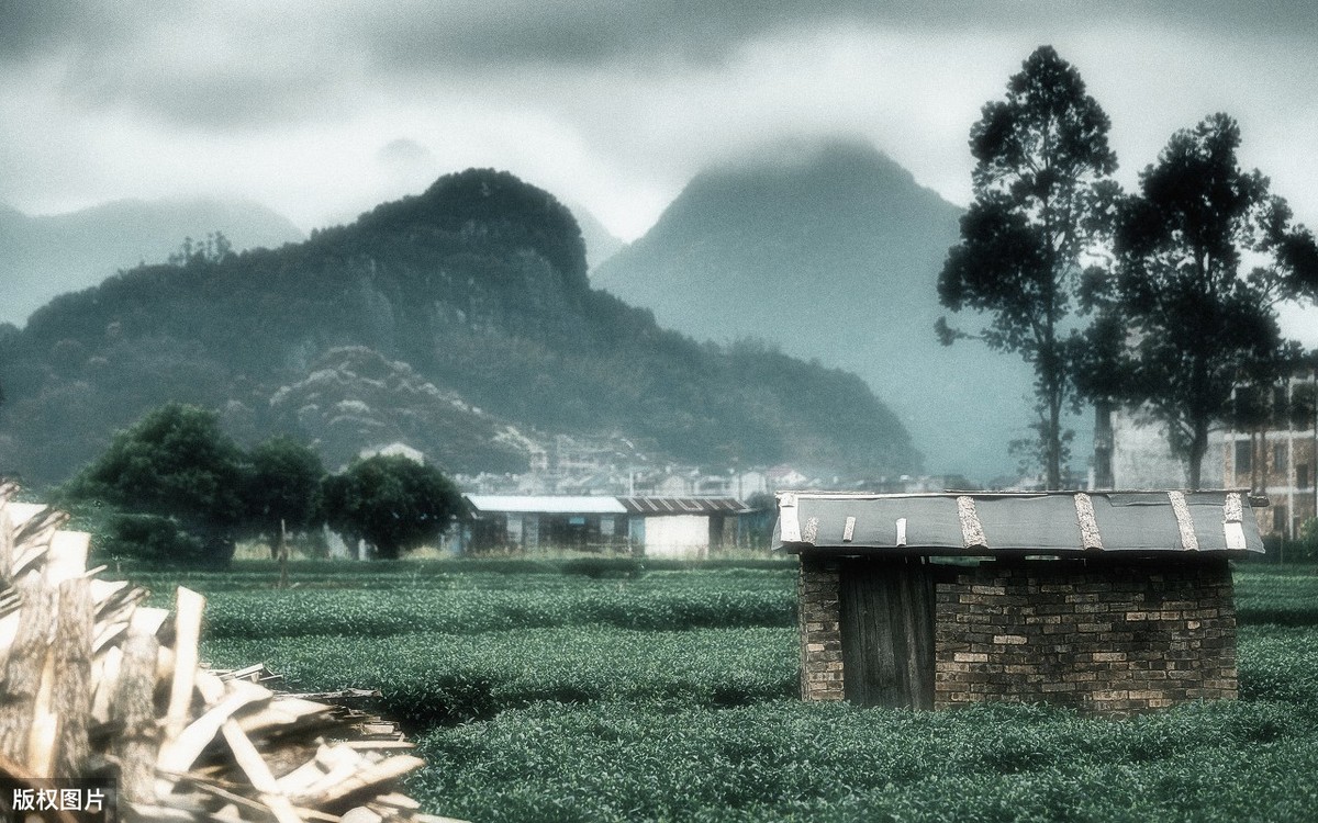 关于乡村的诗句有哪些（乡村诗句大全唯美）