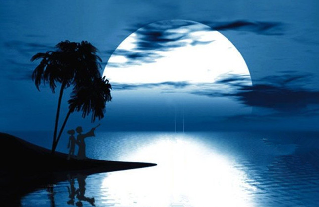 带月字的古诗有哪些（诗句中带月字的诗句）