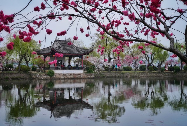 长相思李煜翻译（长相思古诗李煜注音版）