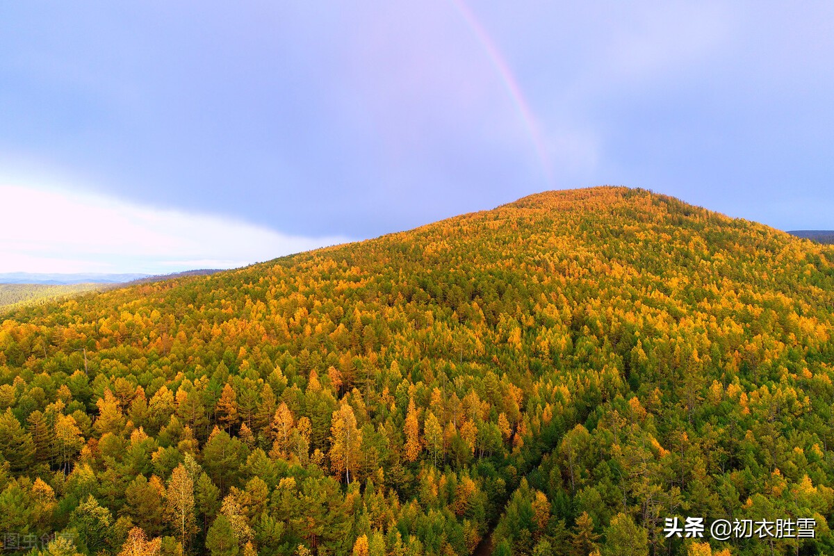 秋夕旅怀李白赏析（秋夕旅怀翻译）