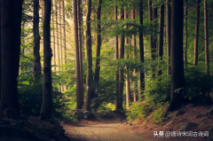 励志古诗词经典名句 励志古诗词经典名句！