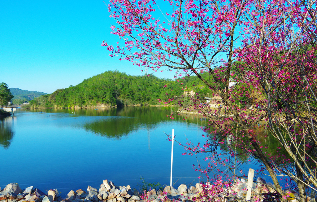 描写景色的词语有哪些（形容风景优美的成语）