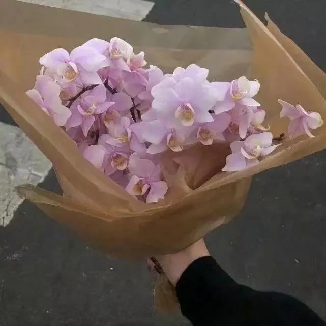 温柔的话语经典语录（极致温柔的句子分享）