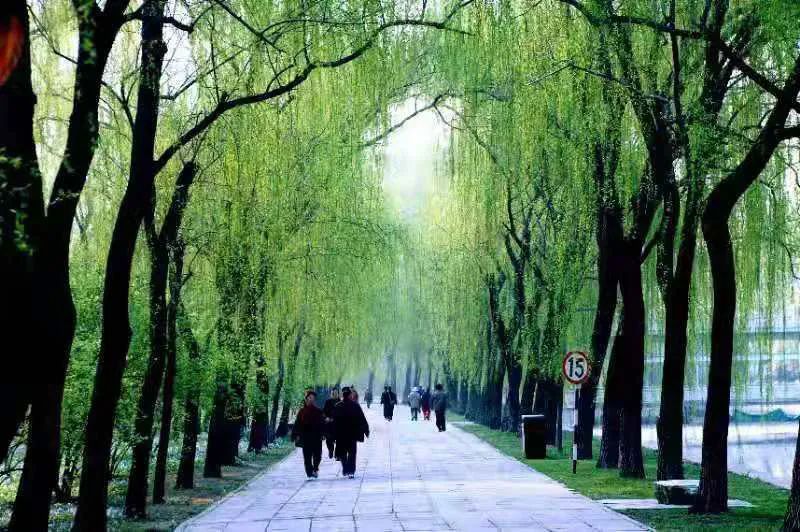 关于春天的词语有哪些（描写春天人们活动的诗句）