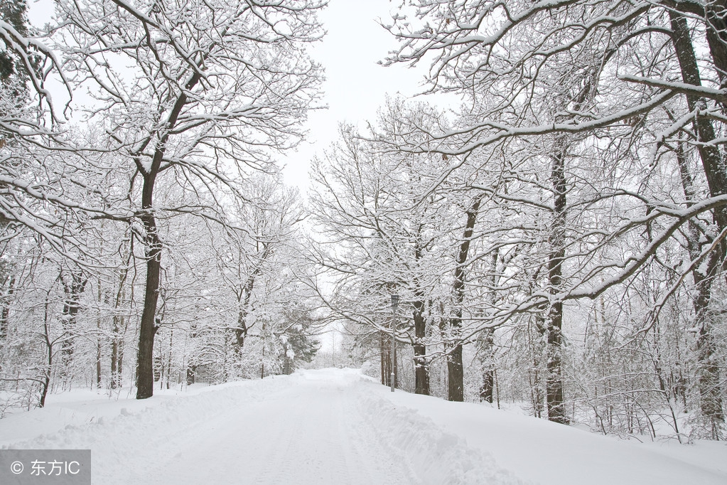 关于热爱祖国的诗歌（热爱祖国为主题的诗歌）
