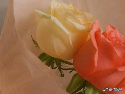 形容风景优美的句子（风景很美的句子分享）