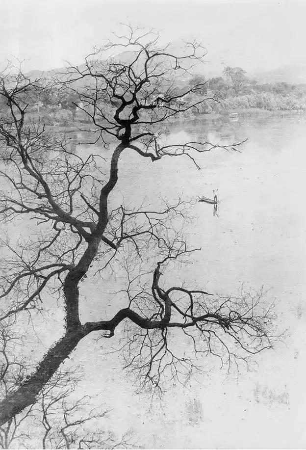 望月怀远古诗朗读（望月怀远古诗赏析）