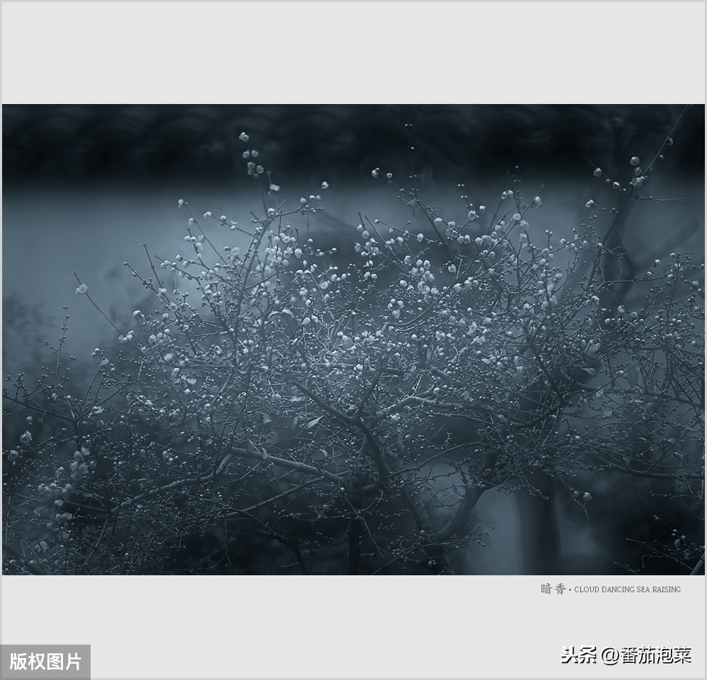 葛溪驿王安石赏析（葛溪驿翻译及赏析）