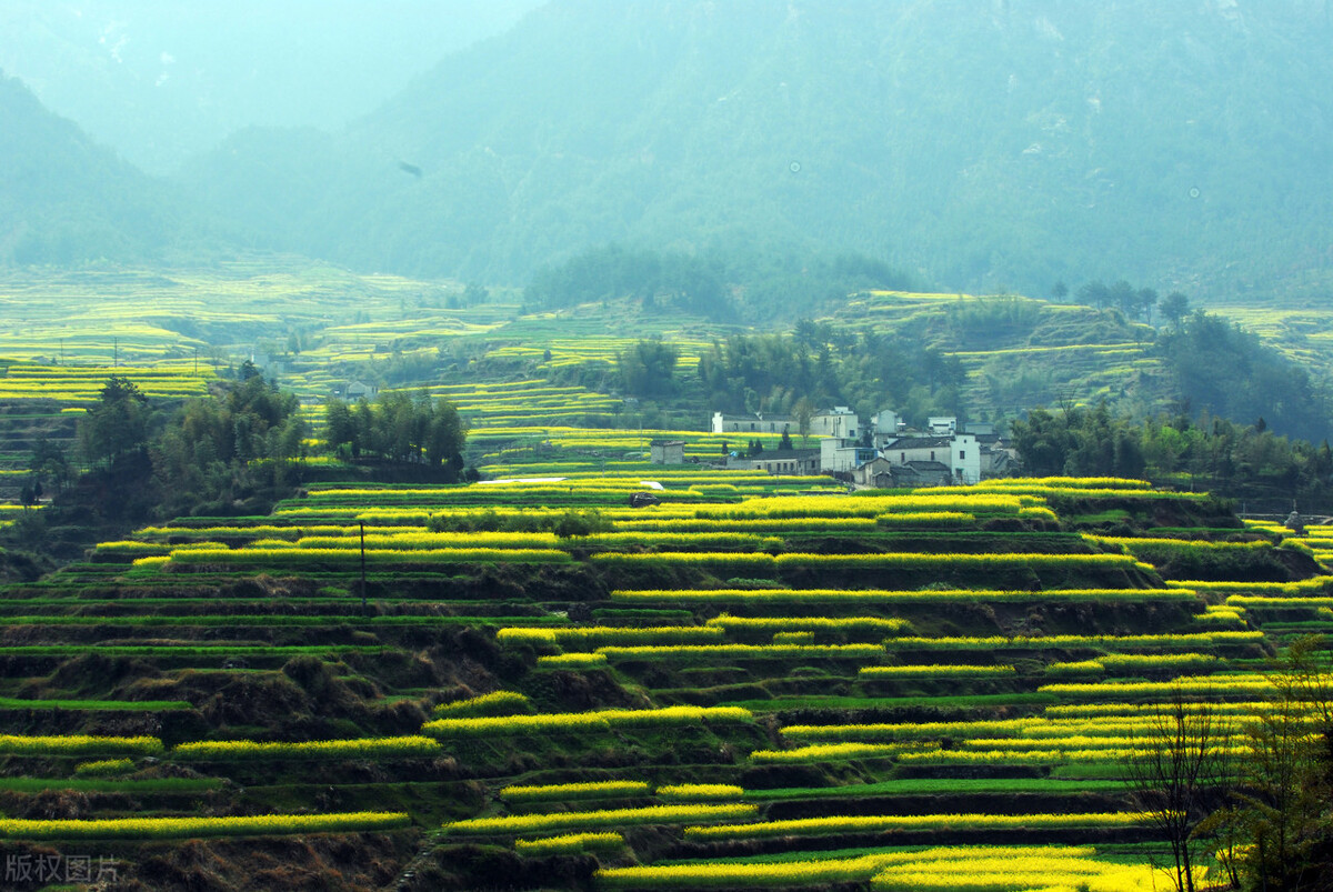 喜获丰收的诗句（庆祝丰收的诗句古诗）