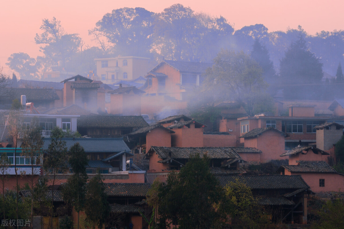 喜获丰收的诗句（庆祝丰收的诗句古诗）
