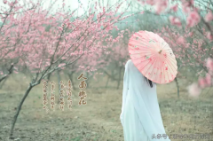 有哪些相见恨晚的美句可以分享？