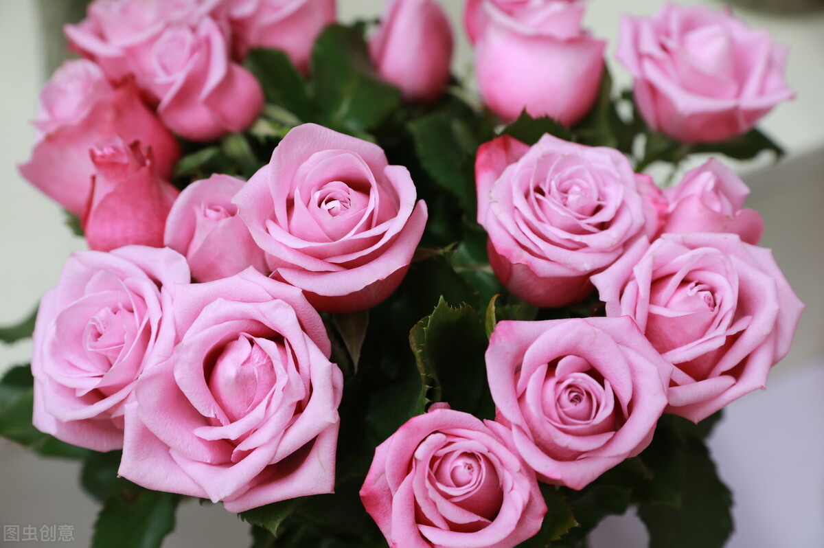 好天气好心情唯美短句（天气很好阳光很美句子）