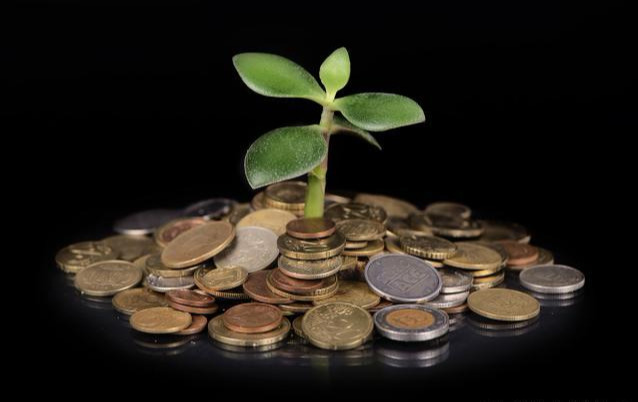 理财是怎么赚钱靠谱吗（新手学理财的方法）