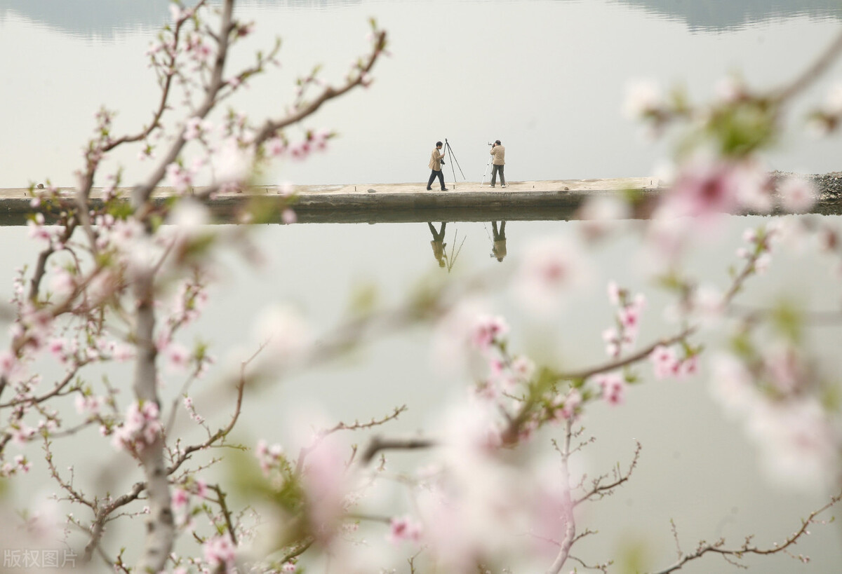 有关思乡的古诗句（描写思乡怀亲的诗句）