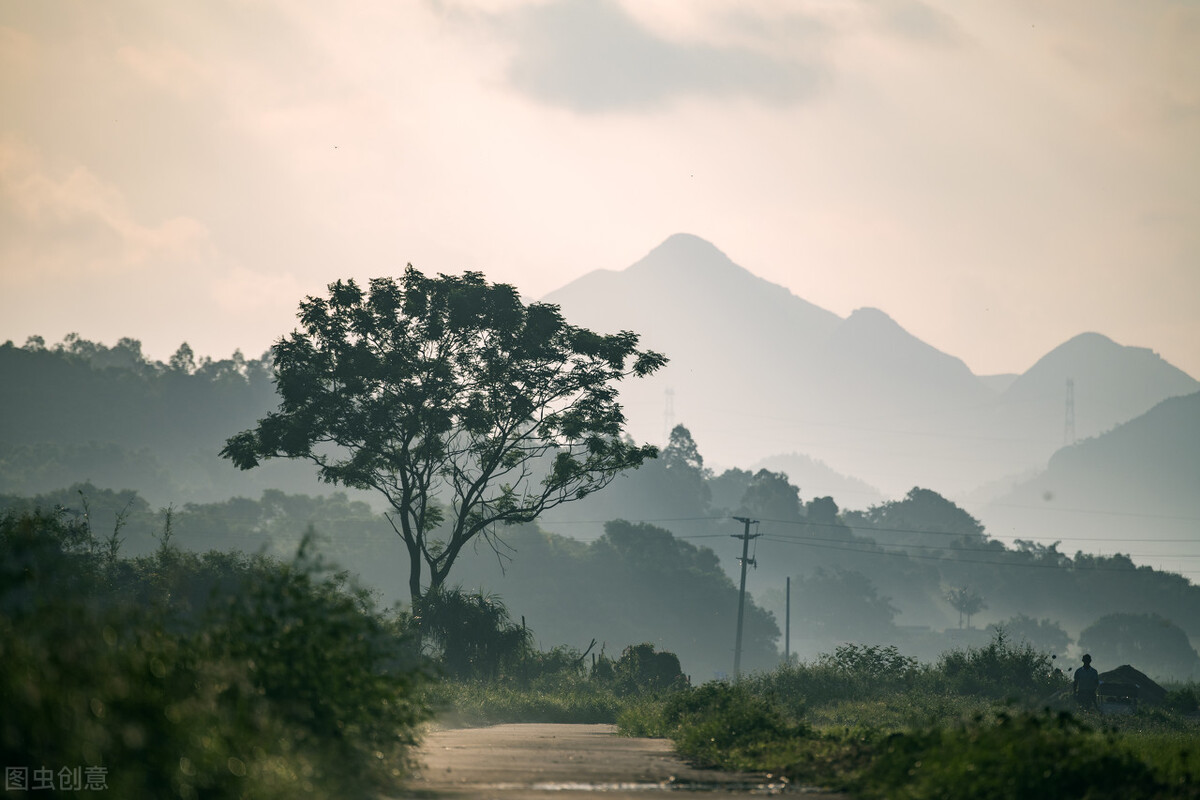 有关思乡的古诗句（描写思乡怀亲的诗句）