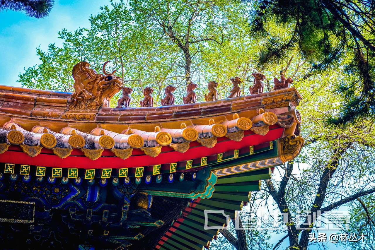 关于春节的经典诗词（小学生关于春节的古诗）