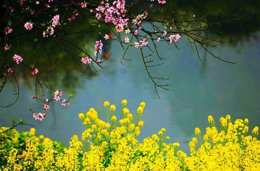 思念朋友的诗句古诗（表达对朋友思念的诗句）