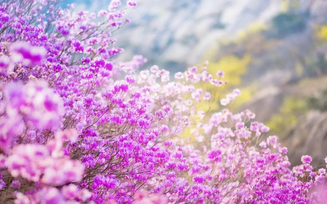 思念朋友的诗句古诗（表达对朋友思念的诗句）