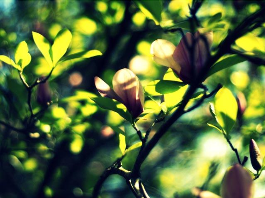 思念朋友的诗句古诗（表达对朋友思念的诗句）