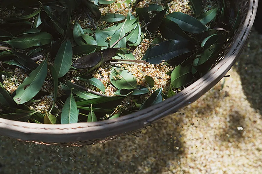 关于生日诗词句优美(关于生日的优美诗句)