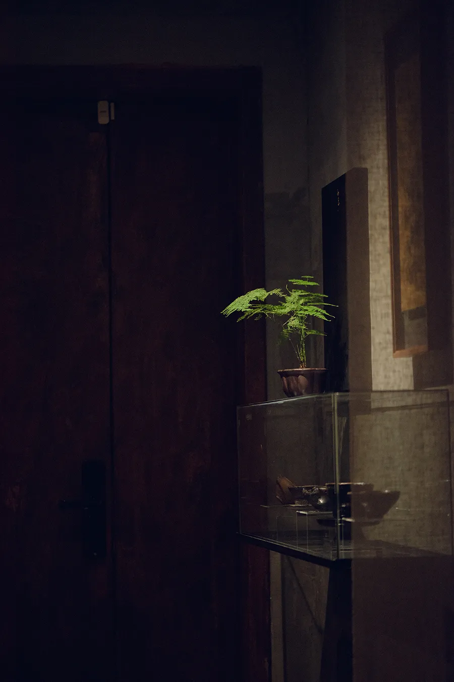 关于生日诗词句优美(关于生日的优美诗句)