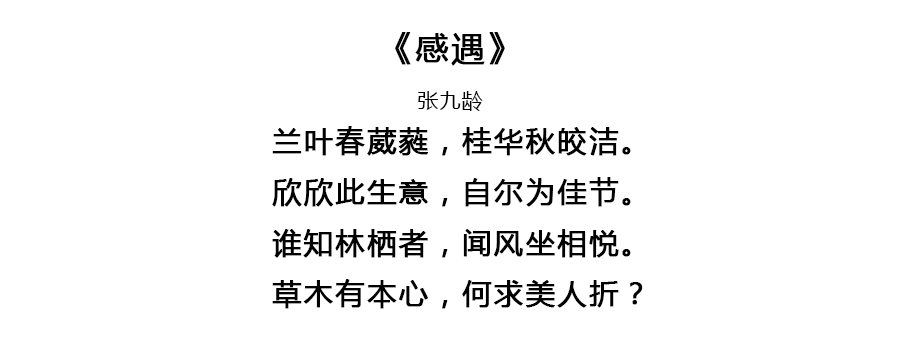 关于生日诗词句优美（关于生日的优美诗句）