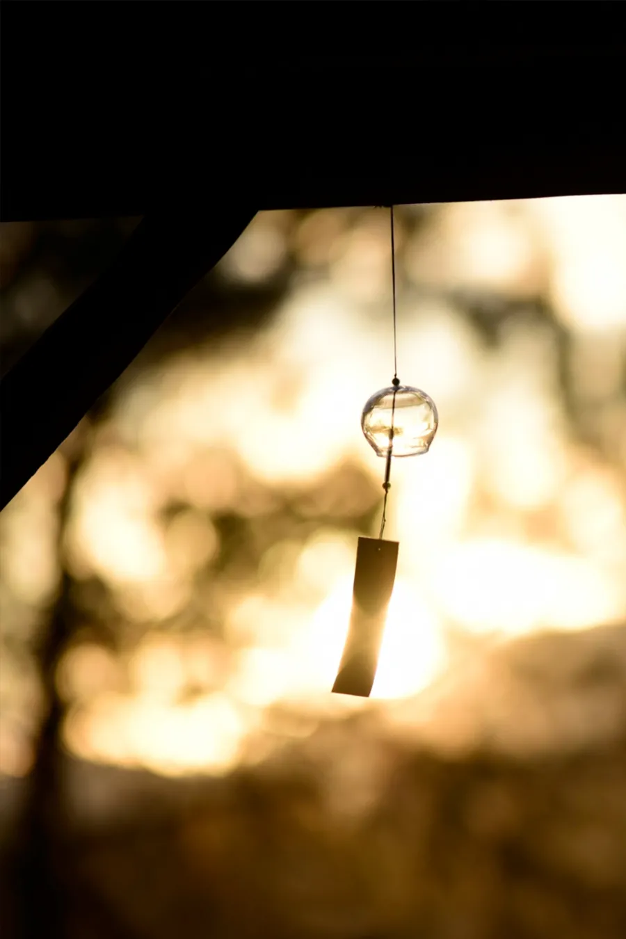 关于生日诗词句优美(关于生日的优美诗句)