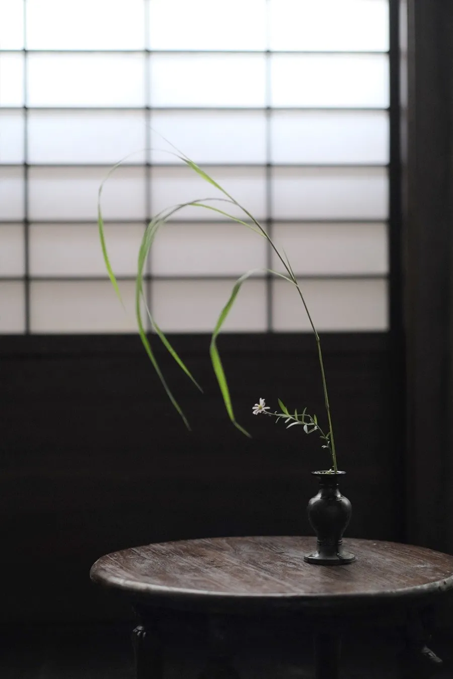 关于生日诗词句优美（关于生日的优美诗句）