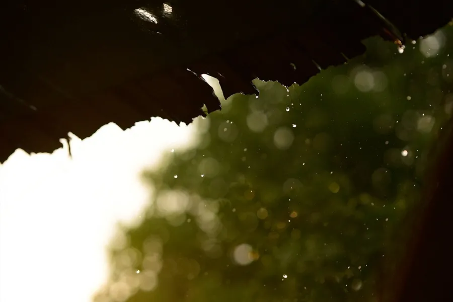 关于生日诗词句优美(关于生日的优美诗句)