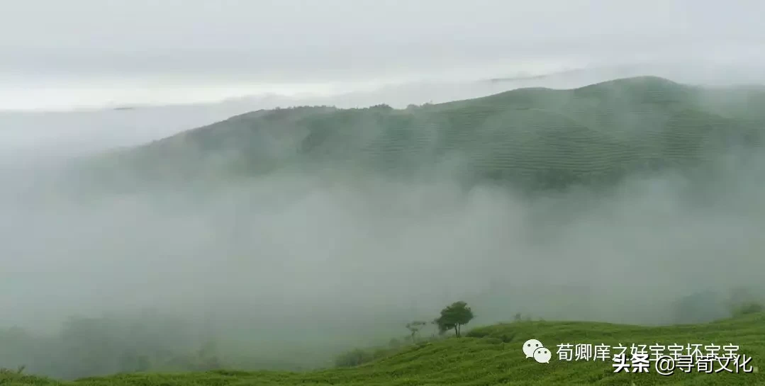 齐景公游少海文言文翻译（齐景公游少海文言文的道理）