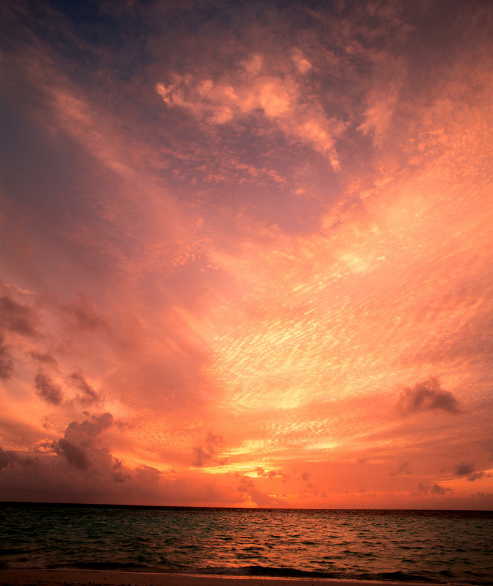 秋天赞美夕阳的诗句（赞美夕阳的诗句大全）