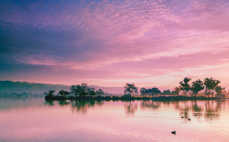 秋天赞美夕阳的诗句（赞美夕阳的诗句大全）