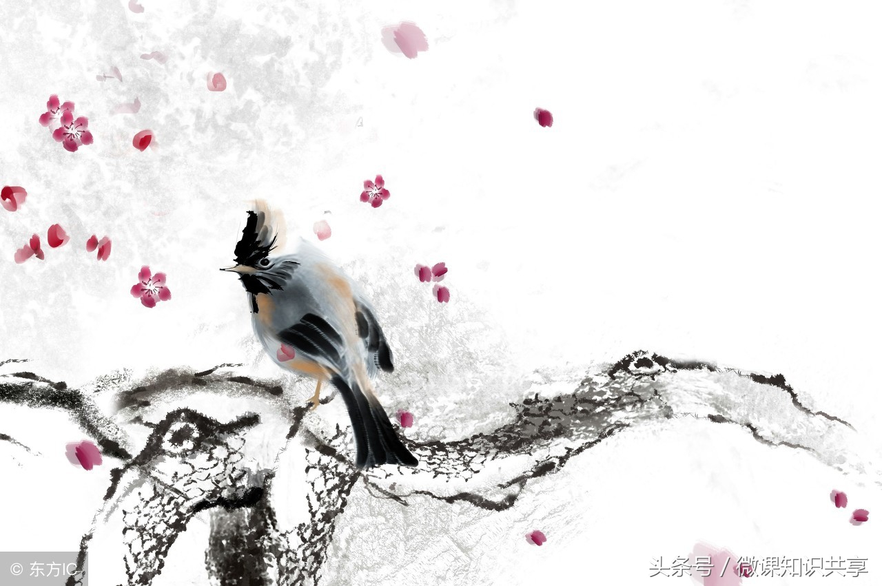 尊老敬老的名言诗句(尊老敬老的经典句子)