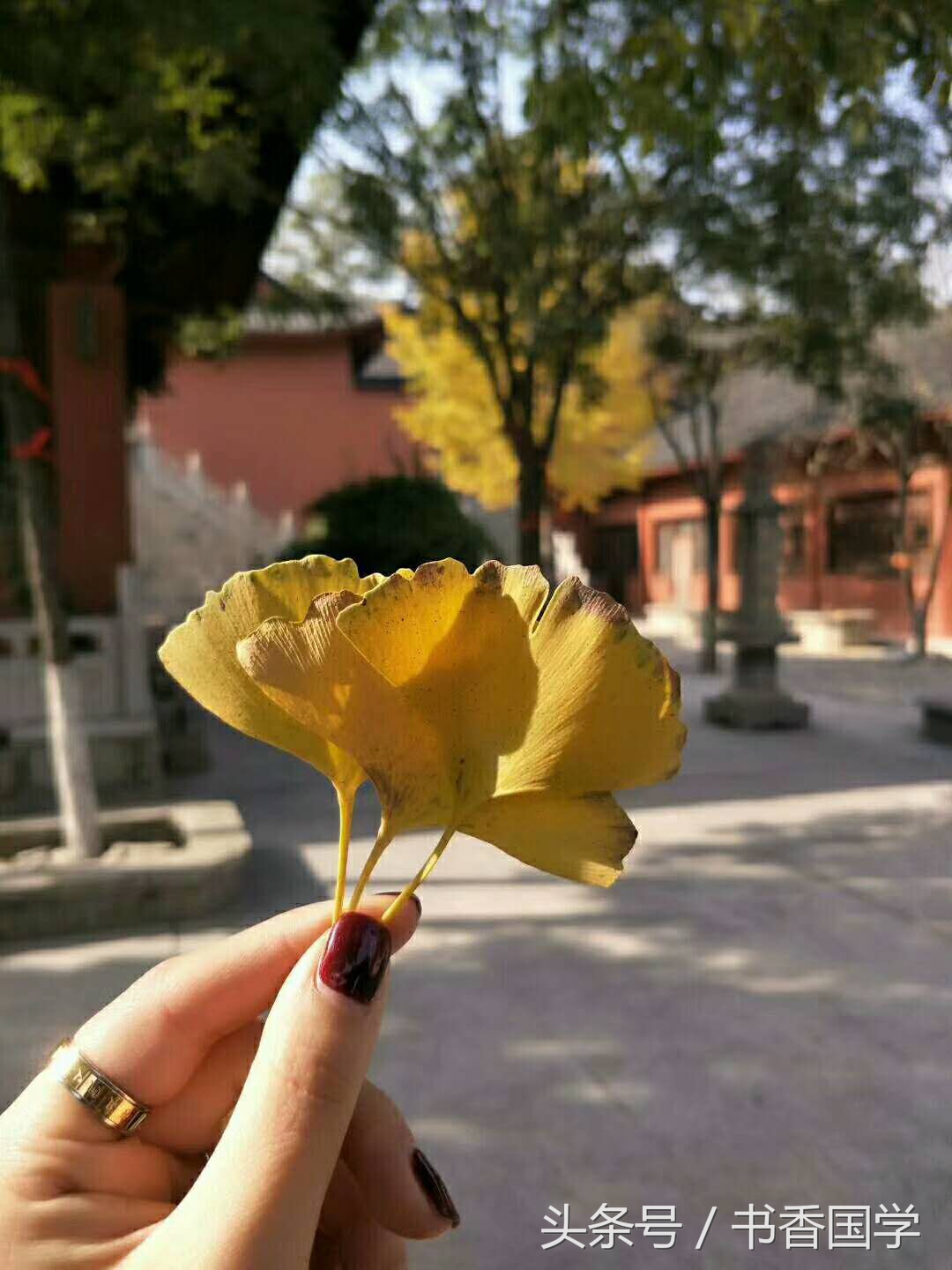 关于雨的诗句唯美（关于雨的唯美句子简短）