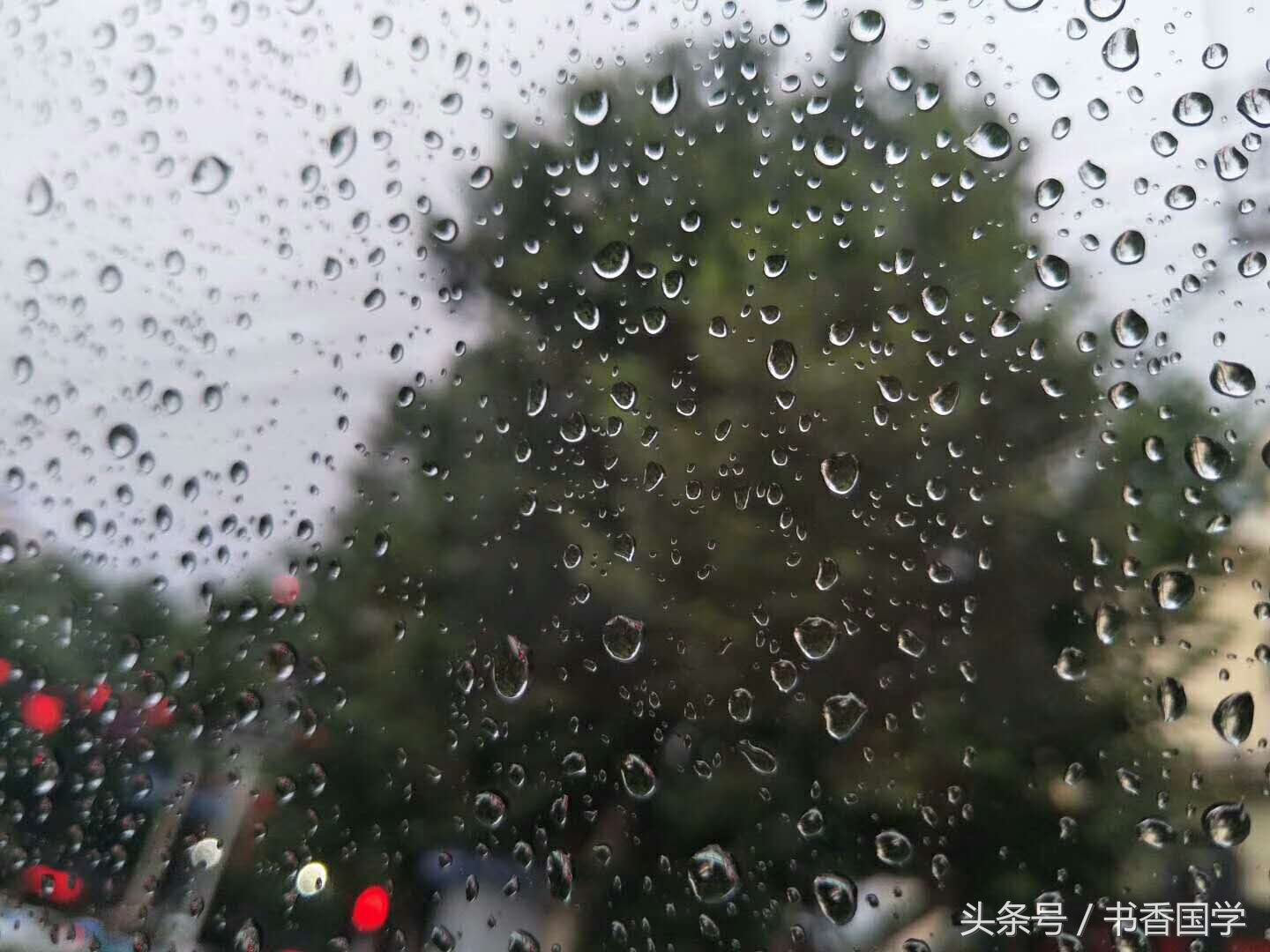 关于雨的诗句唯美（关于雨的唯美句子简短）