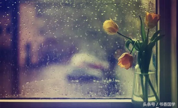 关于雨的诗句唯美（关于雨的唯美句子简短）