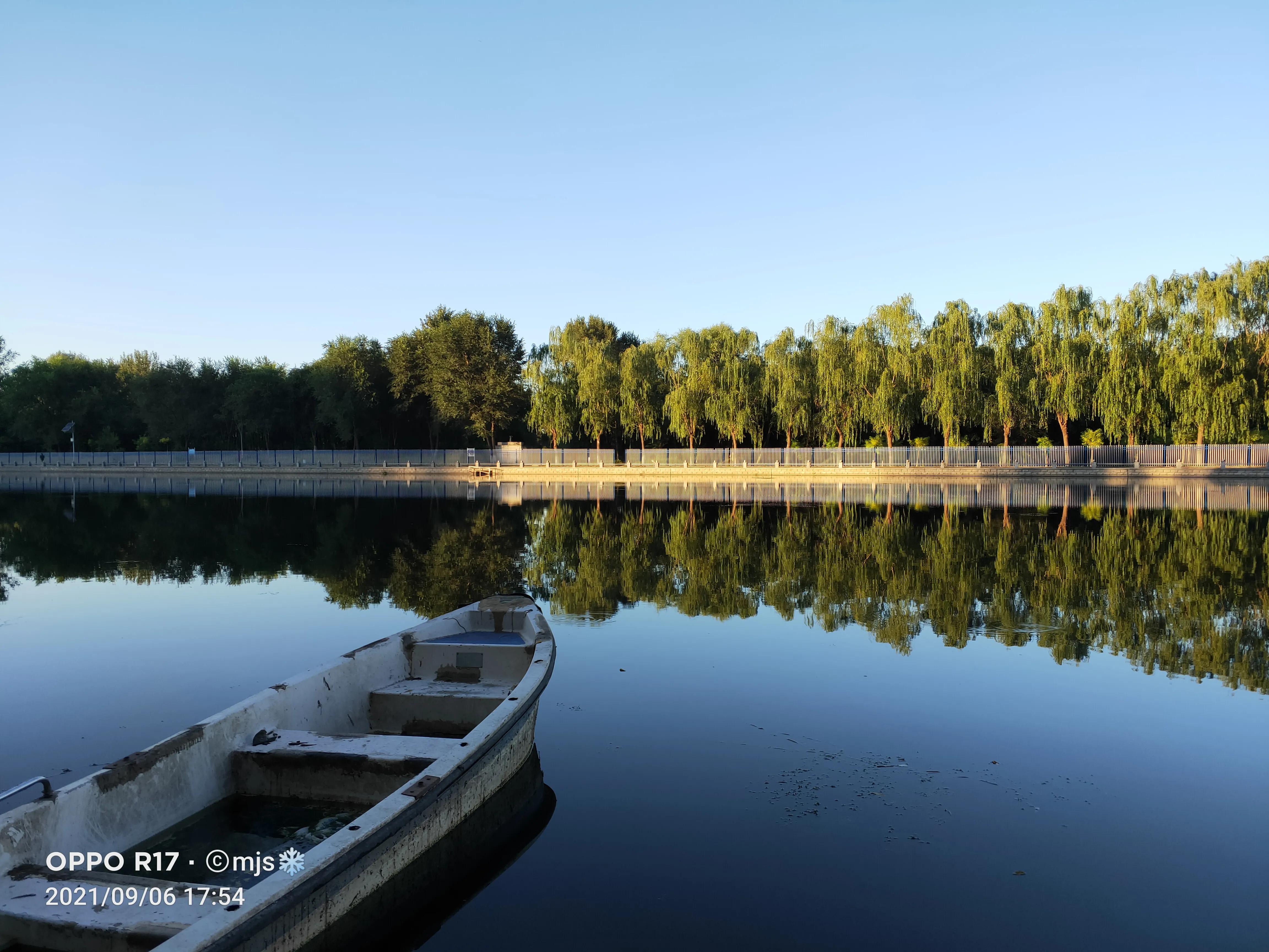燕子来舟中作诗歌阅读（燕子来舟中作诗歌鉴赏答案）