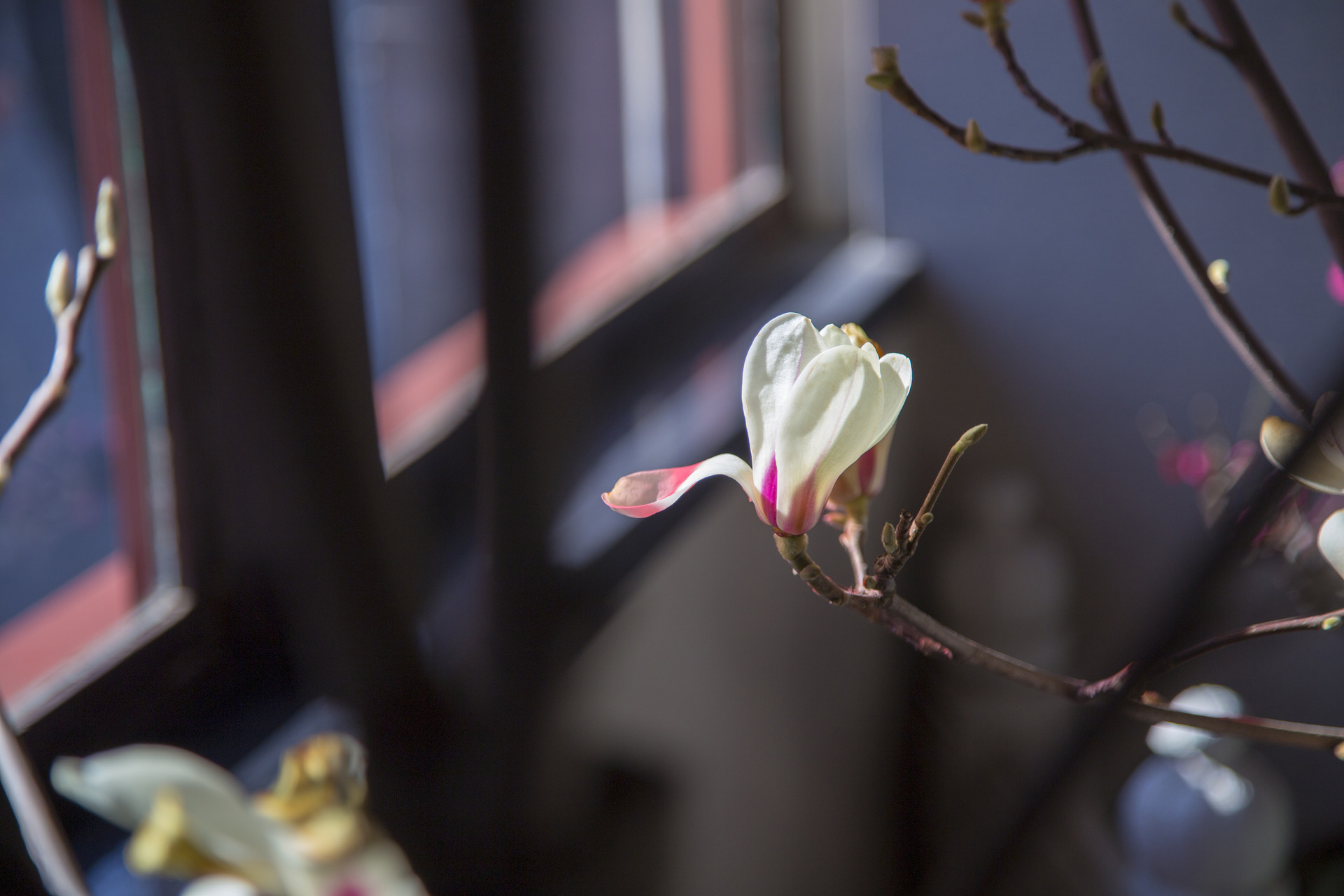 思念的古诗有哪些（有关思乡的古诗分享）