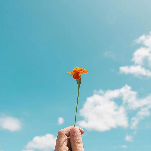 致自己一路走来的句子（一路走来太多感慨说说）