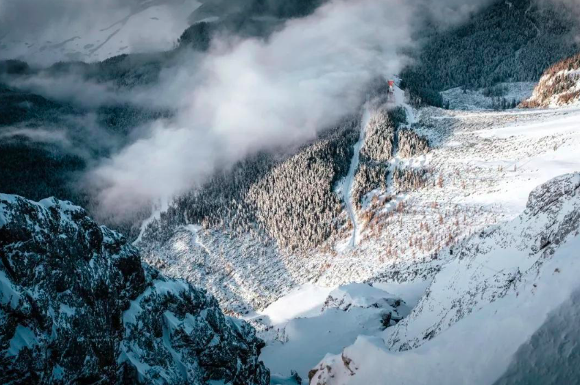 王冕的墨梅诗句（墨梅古诗正确原文）