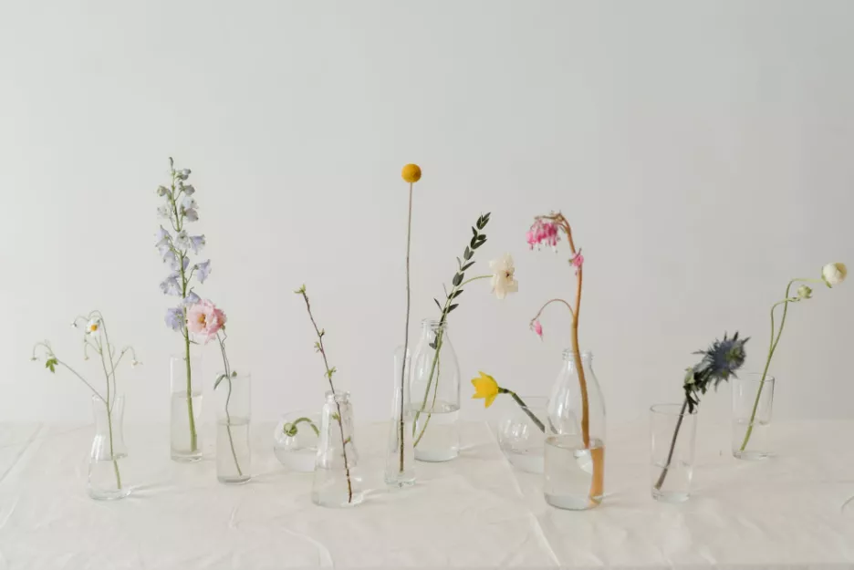 形容人生如水的句子（形容水和人心情的句子）