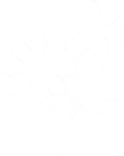 关于母爱的优美句子(关于母爱的句子摘抄大全)