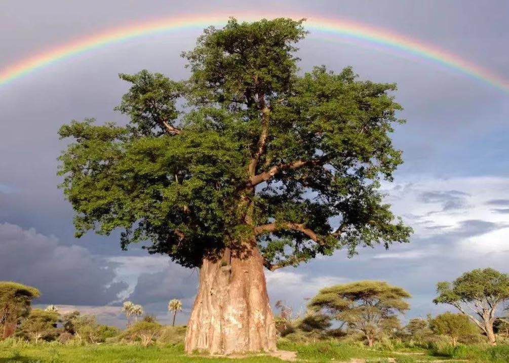 赞美教育的诗句（用心做教育的唯美句子）