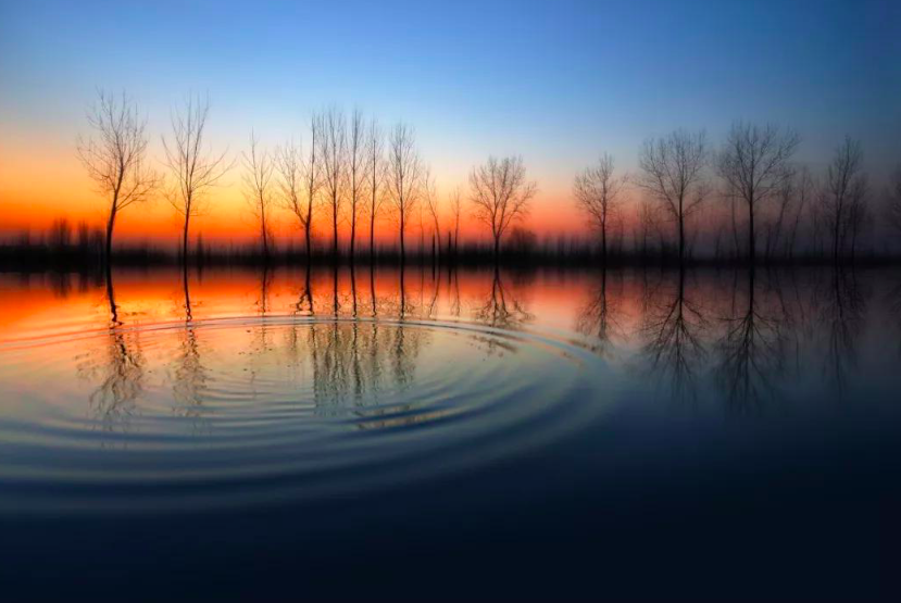 久别重逢的诗句有哪些（老朋友久别重逢的诗句）