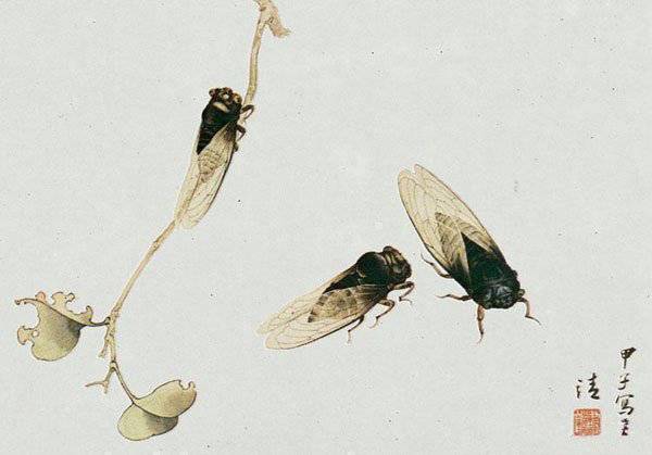 蝉的诗句有哪些（关于蝉的古诗分享）