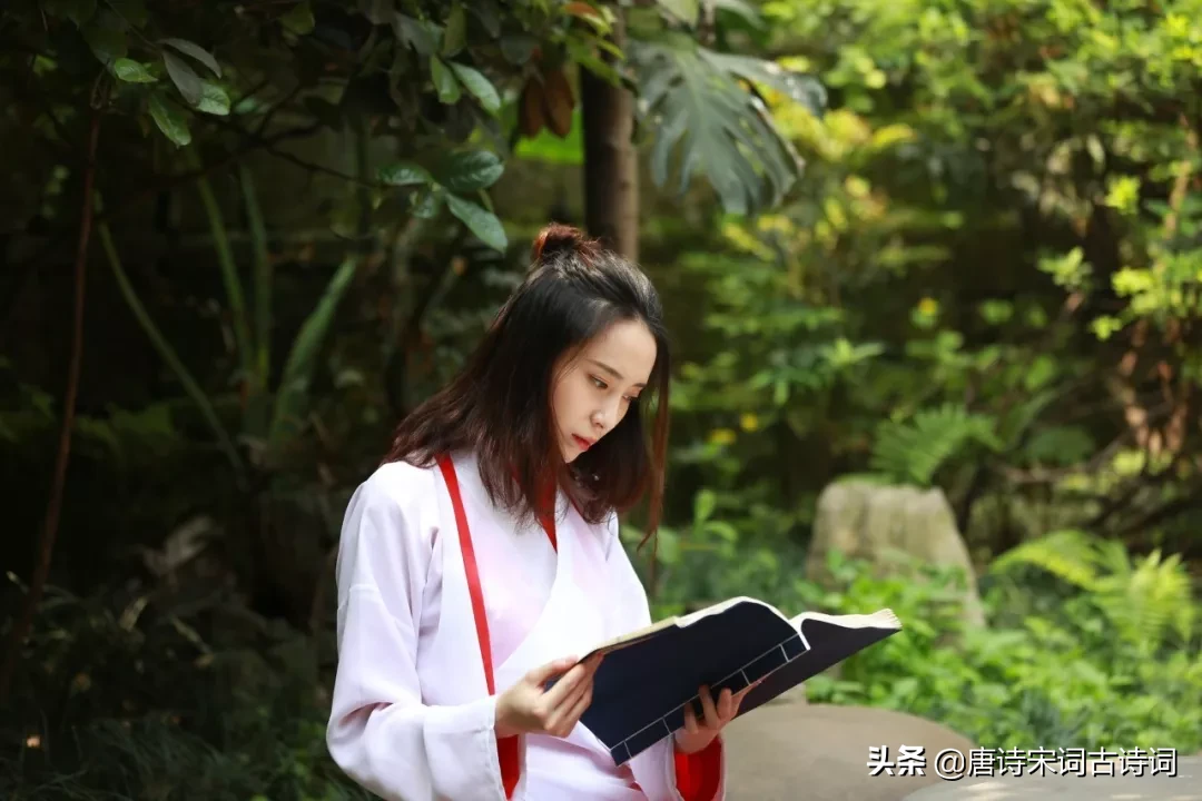 关于学习的诗句（激励学生的诗句名言）