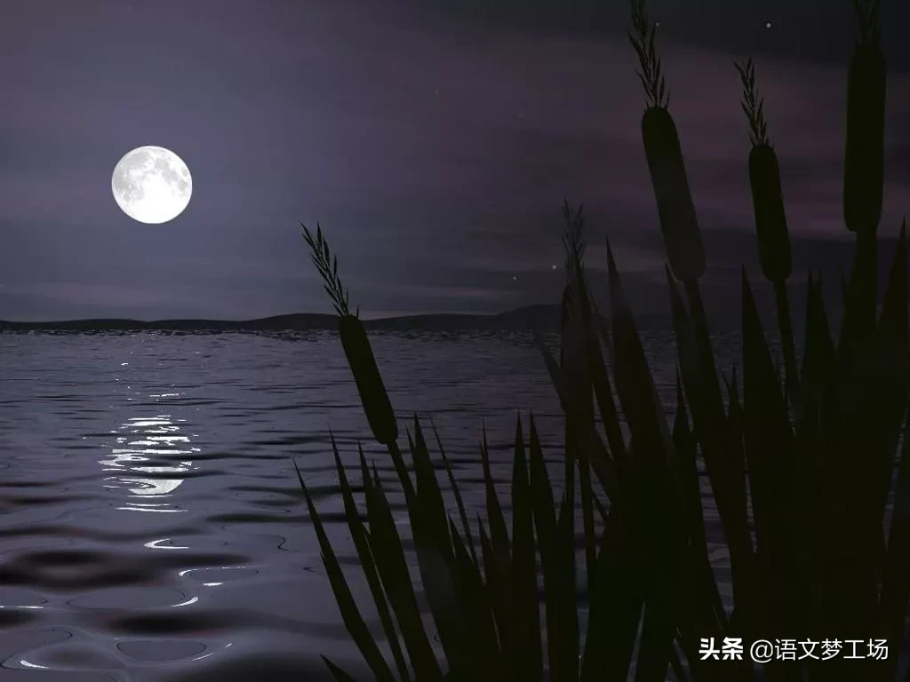 水调歌头译文及赏析（水调歌头古诗原文诵读）